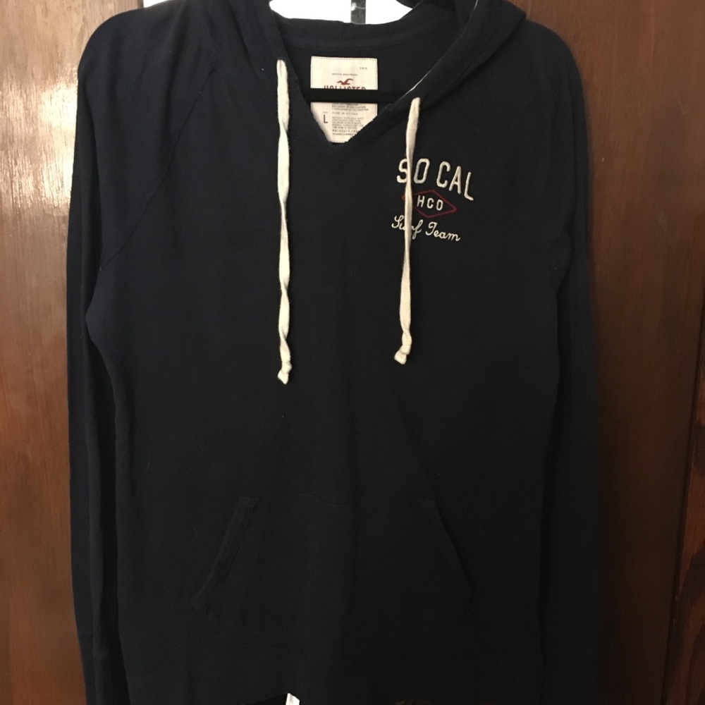 COPY - NWOT hollister surfer hoodie